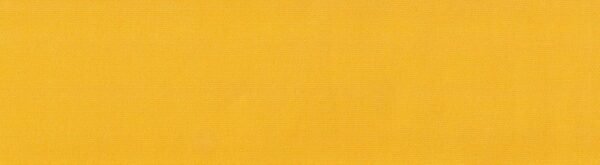 G+系列6302 100%Solution Dyed polyester fabric