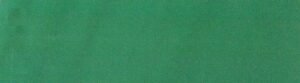 G+系列浅草绿6123 Solution Dyed polyester fabric