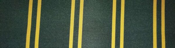 G+系列6302 100%Solution Dyed polyester fabric