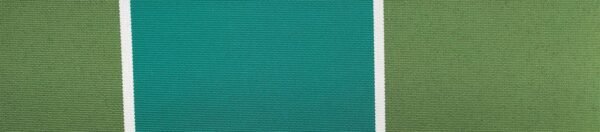 G+系列6302 100%Solution Dyed polyester fabric