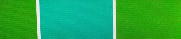 G+系列6302 100%Solution Dyed polyester fabric